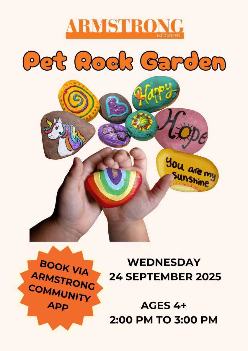 Pet Rocks Garden Create a Pet Rock Day | Quantum Clubs